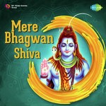 Mere Bhagwan - Shiva - Kamal Song Download